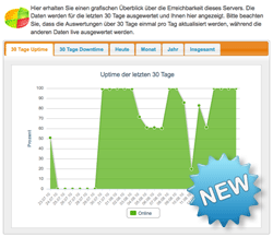 Servererreichbarkeit Grafik